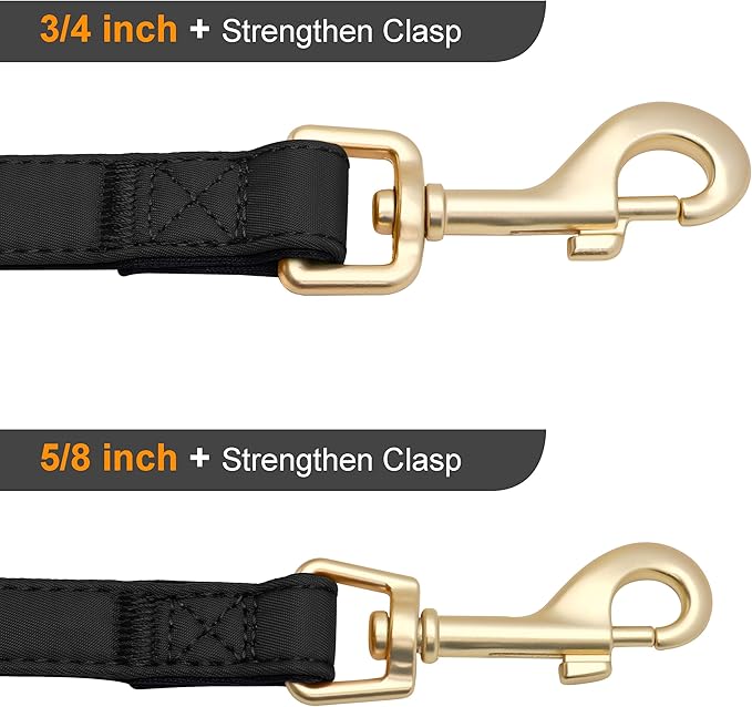 Didog Colorful Soft Padded Nylon Dog Collar & 5FT Dog Leash Set for Medium Dogs