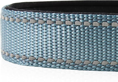 Joytale Reflective Dog Collar, Soft Neoprene Padded, Metal D-Ring, Nylon Pet Collar Adjustable for Small Dogs, Gray, S