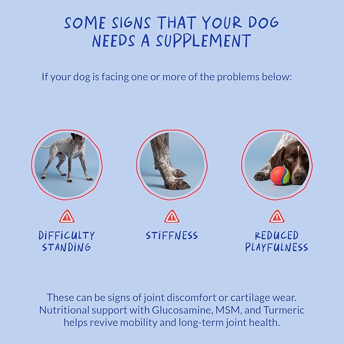Hip and Joint Supplement for Dogs - with Collagen, Glucosamine for Dogs - Fish Oil - Green Lipped Mussel - Hip & Joint Support, Ease Inflammation, Antioxidant.