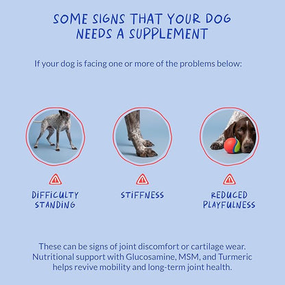 Hip and Joint Supplement for Dogs - with Collagen, Glucosamine for Dogs - Fish Oil - Green Lipped Mussel - Hip & Joint Support, Ease Inflammation, Antioxidant.