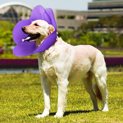 POPETPOP Soft Cat Cone Collar, Cute Flower Recovery Collar After Surgery, Adjustable Anti-Bite Lick Elizabethan Cone for Small Dogs Cats Kittens Pets All-Season Style - Purple, XL