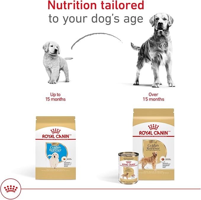 Royal Canin Breed Health Nutrition Golden Retriever Puppy Dry Dog Food, 30 lb Bag