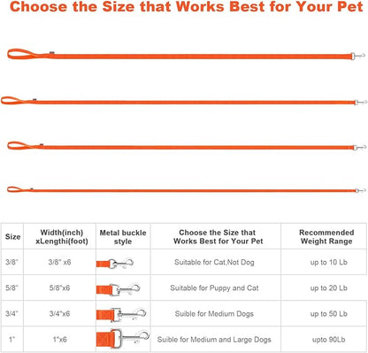 AMAGOOD 6 FT Puppy/Dog Leash, Traditional Style Leash with Easy to Use Collar Hook, Great for Small, Medium and Large Dogs (3/4 in x 6 ft, Orange)