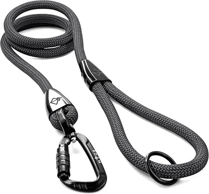 MADE TO ROAM Premium Explorer Leash - Climbing Rope Leash with Autolocking Aviation Aluminum Carabiner - New York Afterlight, 6ft