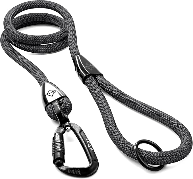 MADE TO ROAM Premium Explorer Leash - Climbing Rope Leash with Autolocking Aviation Aluminum Carabiner - New York Afterlight, 4ft