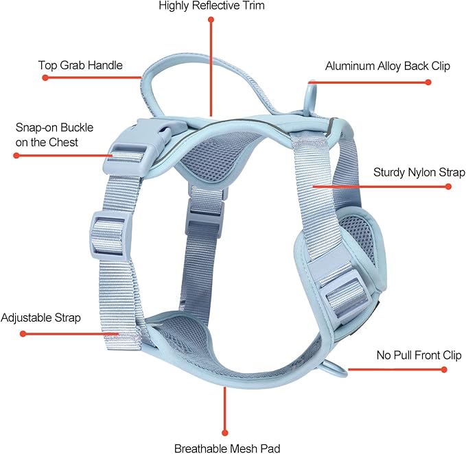 Petmolico Dog Harness for Medium Dogs No Pull, Cute Dog Harness with Two Leash Clips and Soft Handle, Reflective Easy Walk Dog Harness with Leash, Light Blue Medium