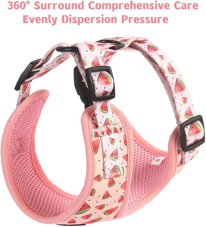 Coowone Dog Harness and Leash Set, Adjustable Puppy Harness and Soft Padded Dog Vest Clothes for Small Medium Large Dogs
