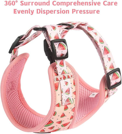 Coowone Dog Harness and Leash Set, Adjustable Puppy Harness and Soft Padded Dog Vest Clothes for Small Medium Large Dogs