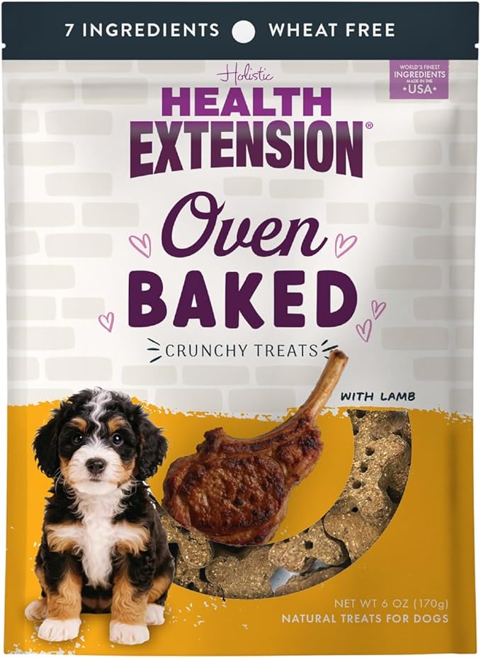 Health Extension Oven-Baked Dog Treats, Lamb Recipe – Gluten & Wheat-Free, Superfood-Infused, Crunchy Biscuits for Puppy Training (6oz)