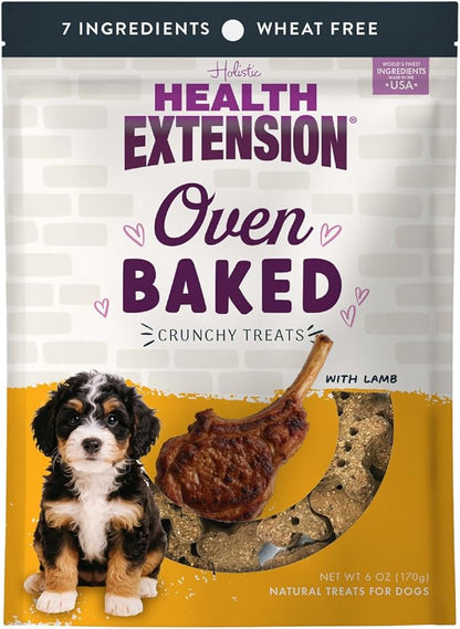 Health Extension Oven-Baked Dog Treats, Lamb Recipe – Gluten & Wheat-Free, Superfood-Infused, Crunchy Biscuits for Puppy Training (6oz)
