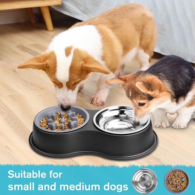 Epetslove Dog Bowls Double Dog Water and Food Bowls Stainless Steel Bowls with Non-Slip Resin Station, Pet Feeder Bowls for Puppy Medium Dogs Cats