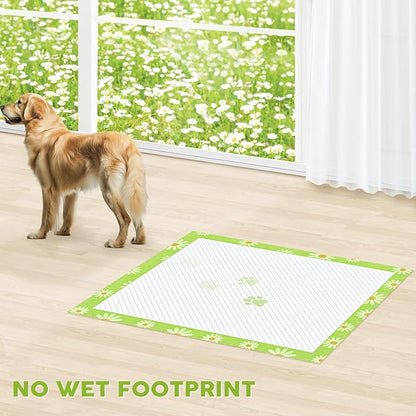 CROCI Dog Pads Extra Large 36x36in Daisy Pattern, Puppy Pads with Adhesive Tabs Super Absorbent Up to 11 Cups, Leak-Poof & Quick Dry Disposable (100 Counts)