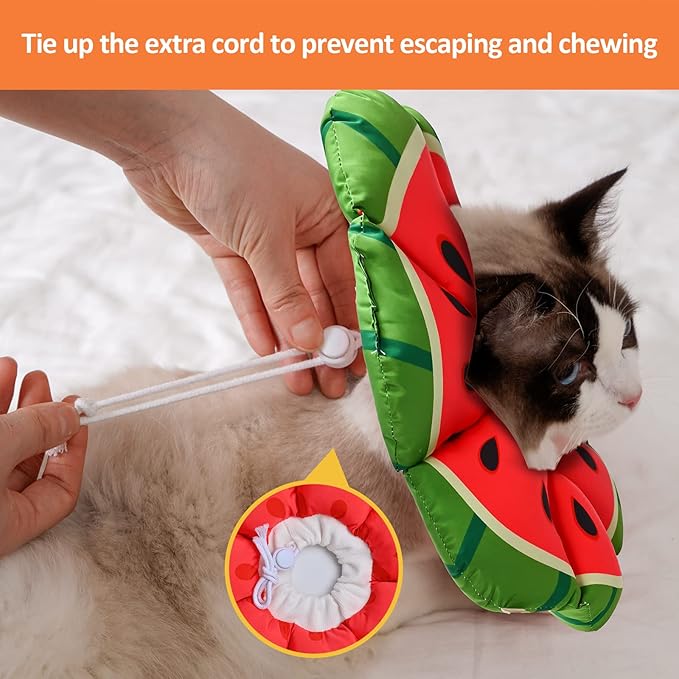 Avont Cat Cone Collar Soft, Adjustable Recovery E Collar Alternative for Cats Kittens Puppies, Elizabethan Neck Cone of Shame to Prevent Licking Biting After Surgery Protect Wounds -Melon(S)