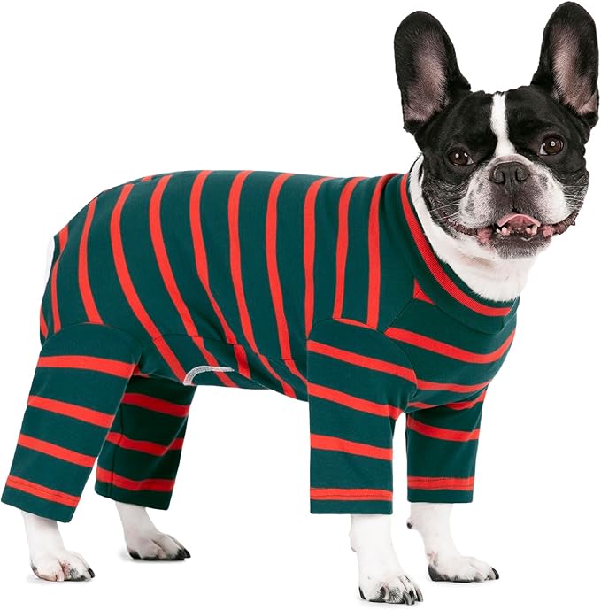 Dog Surgery Recovery Suit for Male/Female, Post Surgery Dog Shirt, After Surgery Dog Bodysuit, E-Collar & Cone Alternative Surgical Clothes, Anti-Licking Dog Snugly Onesie, Dark Green