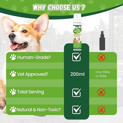No Chew Spray for Dogs, 200ML Bitter Apple Spray for Dogs Cats Anti Chewing Licking from Furniture, Shoes, Bandages, Dog Training & Behavior Aids Spray, Indoor & Outdoor Use 1 Pack