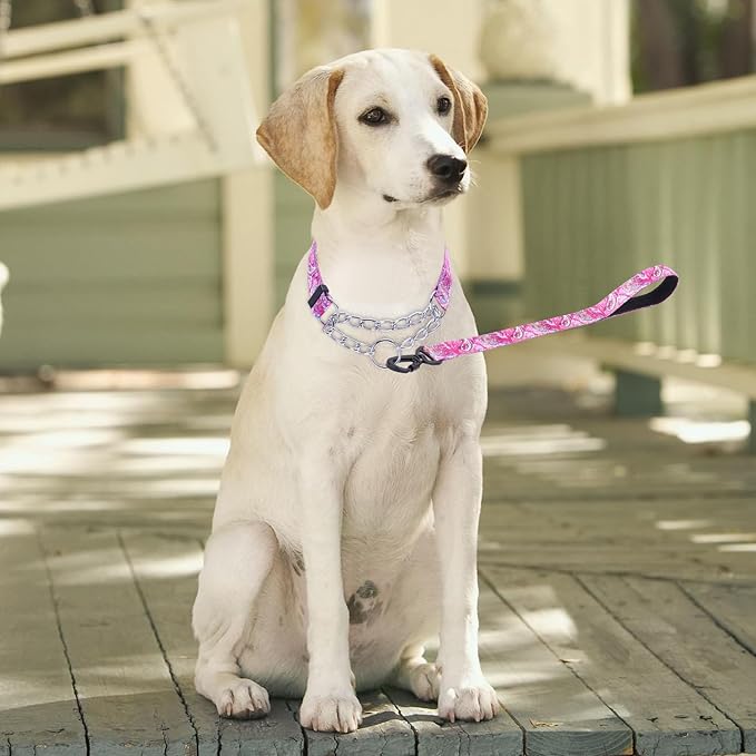 Martingale Dog Collar with Stainless Steel Chain - Limited Chain Cinch Training Collar for No Pull Training Dog - Flower Multicolor Cute Patterns - Premium No Slip Collar (XL, Pink Set)