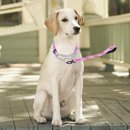 Martingale Dog Collar with Stainless Steel Chain - Limited Chain Cinch Training Collar for No Pull Training Dog - Flower Multicolor Cute Patterns - Premium No Slip Collar (XL, Pink Set)