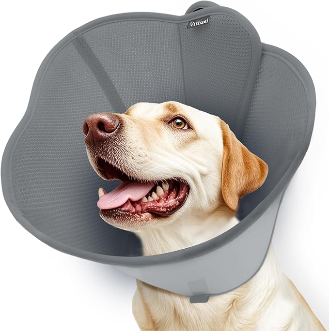 Upgraded Dog Cone Collar for Large Medium Dogs, Soft Dog Cone with Double-Layer Design, Adjustable Pet Recovery Collar for Dogs After Surgery, Elizabethan Collar (S, Grey)