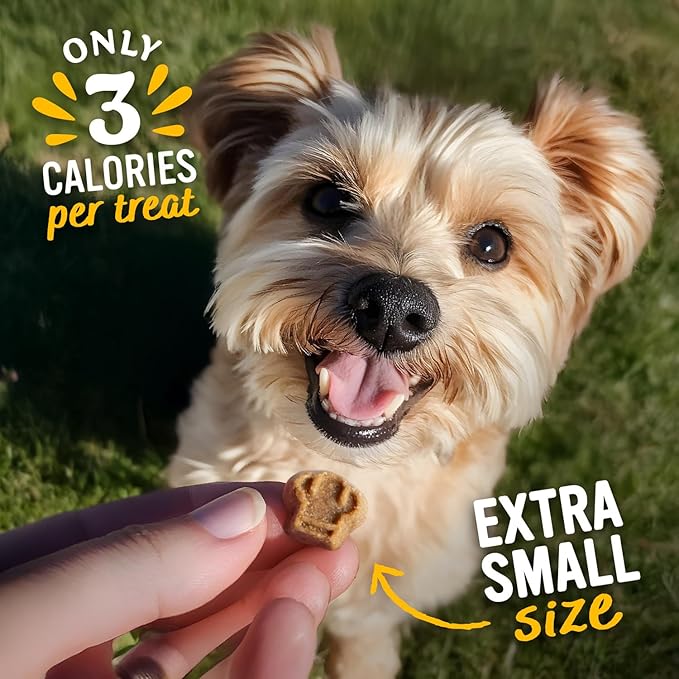 Blue Dog Bakery Perfect Trainers, Mini Dog Training Treats, Soft & Chewy Beef, Healthy Treats, All Natural Ingredients, 6 oz (Pack of 2)