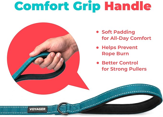 Best Pet Supplies Voyager Reflective Dog Leash or Collar with Neoprene Handle, for Small, Medium, and Large Breed Puppies, Cute and Heavy Duty for Walking, Running and Training - Turquoise (Leash), L