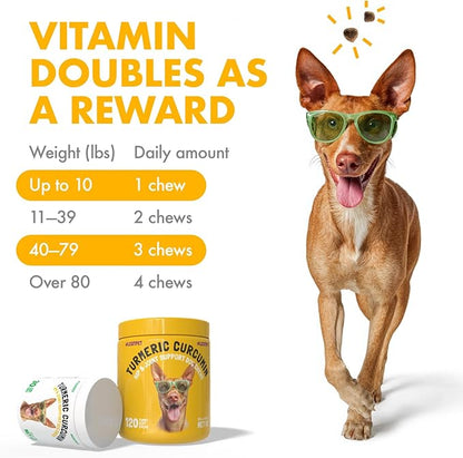 Turmeric Curcumin Hip & Joint Dogs Supplement Anti-Inflammatory Support for Arthritis & Mobility with Collagen & BioPerine Pain Relief Antioxidant Digestive Cardiovascular and Liver Health 120 Chews