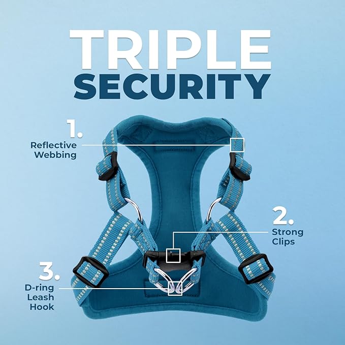 Best Pet Supplies Voyager Adjustable Step-in Flex Breathable Mesh Dog Harness for Small Medium Large Dogs (Turquoise), L