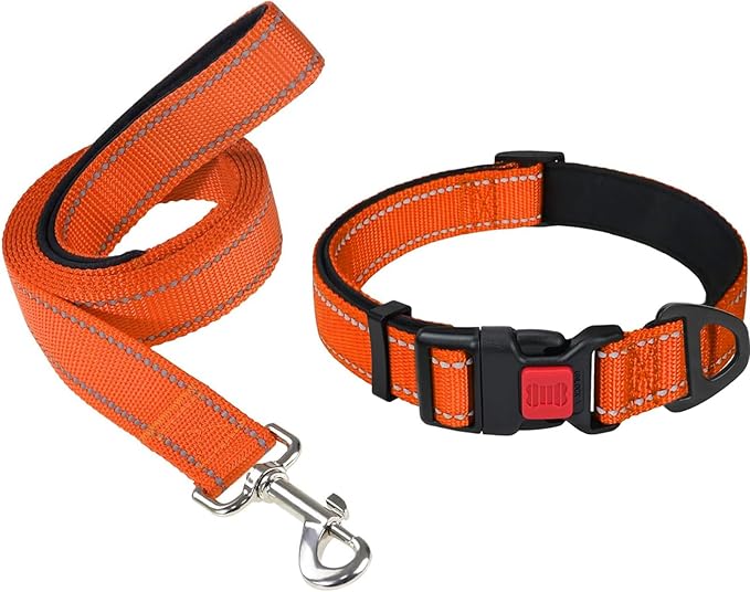 Taglory 16-24" Dog Collar & 4 FT Leash Set, Reflective, Adjustable, Safety Locking Buckle for Large Dogs