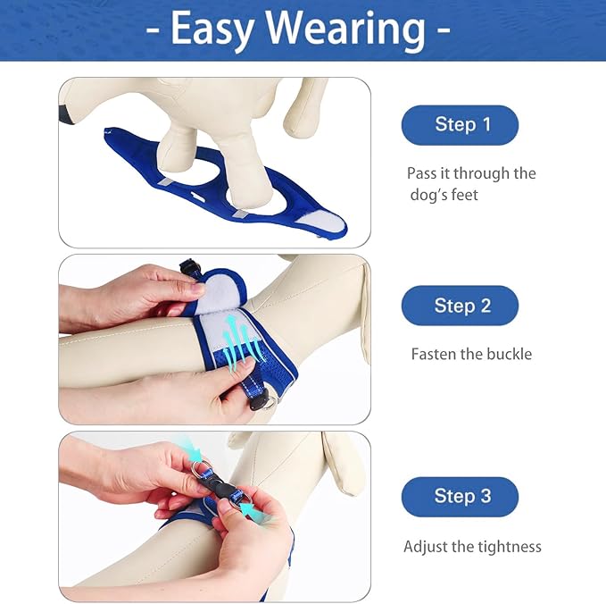 Dog Harness for Small Dogs and Leash Set, Honeycomb Grid, Reflective Lightweight Harness & Anti-Twist Pet Lead (Multi Color, Size: XS-S-M) (M, Sapphire Blue)