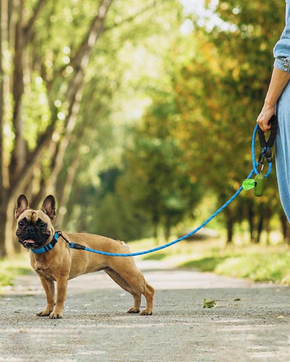 Dynmeow Reflective Dog Collar and Leash Set, 6FT Strong Climbing Rope Leash with Padded Handle, Adjustable Pet Collar with Soft Neoprene Padding for Small Medium Dogs, Blue, S