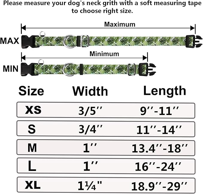 Martingale Collar for Dogs with Buckle Adjustable Nylon Tropical Slip No Pull Training Dog Collars (Palm Leaf, XLarge)