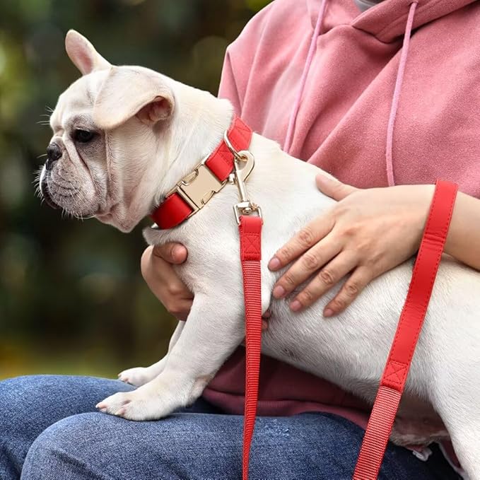 PET ARTIST Soft PU Leather Dog Collar and Leash Set, Bright & Stylish 5FT PU Leather Leash and Collar Set, Durable Pet Collars with Quick Release Metal Buckle for Large Dogs,Red,L(16-27")