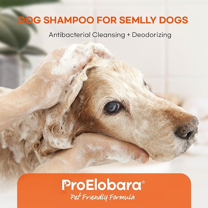 Medicated Dog Shampoo for Allergies and Itching: Antifungal Dog Shampoo, Yeast Infection and Bacterial Treatment for Dogs - Helps Hot Spots, Deodorizing and Anti Itch - Healthy Skin & Coat 16 OZ