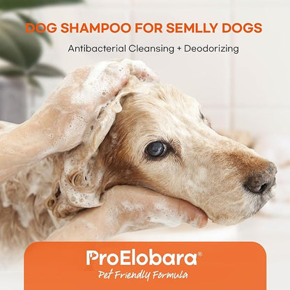 Medicated Dog Shampoo for Allergies and Itching: Antifungal Dog Shampoo, Yeast Infection and Bacterial Treatment for Dogs - Helps Hot Spots, Deodorizing and Anti Itch - Healthy Skin & Coat 16 OZ
