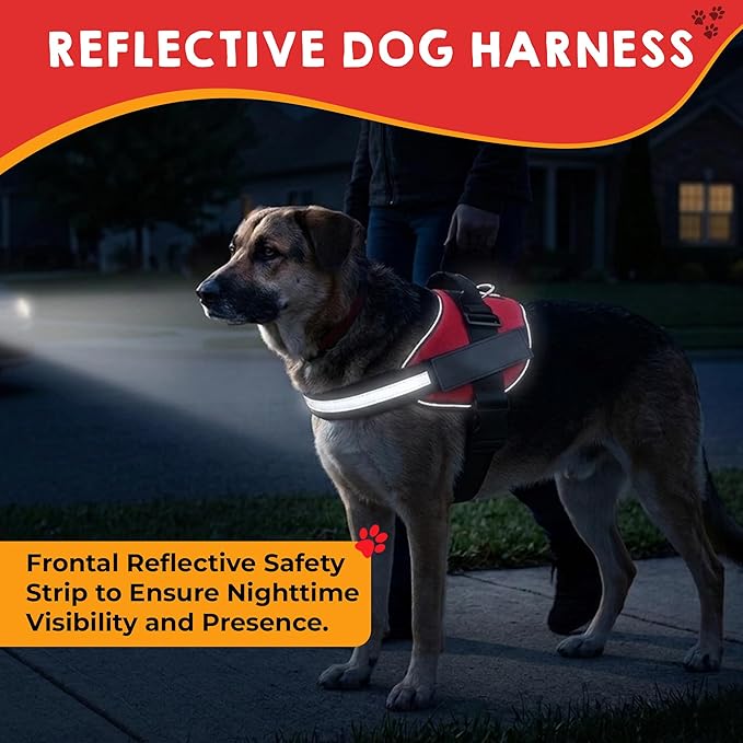 Service Dog Vest + ID Tag + 50 ADA Information Cards - Service Dog Harness w Patch in Sizes X Small to XX Large, Metal Dog Tag has Durable Clip, Service Animal Information Cards. ESA Accessory Set