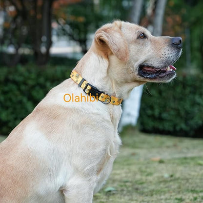 Dog Collar Leash Set, Busy Bee Pattern, 5ft Matching Leash, Polyester Material, 4 for Small Medium Large Dogs.(L, Bee)