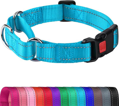 Joytale Martingale Collar for Dogs, Reflective Heavy Duty for Safety, Quick Release Buckle, Adjustable Nylon Collars for Puppy and XSmall Dogs Walking Training, Sky Blue,XS