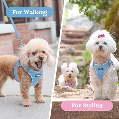 rabbitgoo Small Dog Harness, Step-in Soft Mesh Puppy Vest with Safety Buckle, Breathable Reflective Pet Harness for Small Medium Dogs, Blue & Plaid Trim L