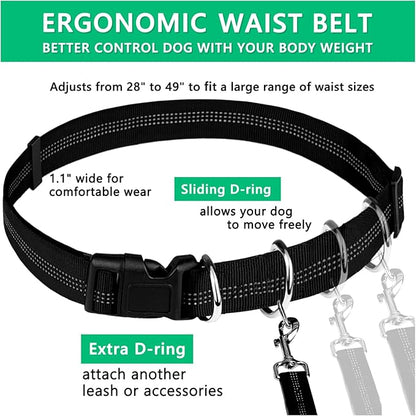 LANNEY Hands Free Dog Leash, Waist Running Leash with Zipper, Walking Pouch for Medium Large Dogs, Dual Handle and Retractable Bungee for Training Jogging Hiking(25-120 lbs, Teal)