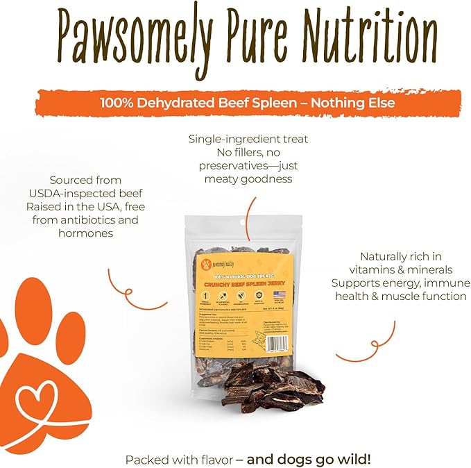 Pawsomely Healthy Crunchy Beef Spleen Jerky for Dogs – Natural Single-Ingredient Air-Dried Treat, High-Protein & Grain-Free, Made in USA - 3 oz