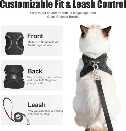PetiFine Extra Small Step in Dog Harness and Leash Set, Cat Harness and Leash Escape Proof, All Weather Mesh Reflective, Step-in Air Vest Harnesses for Puppy(XXXS, Black)
