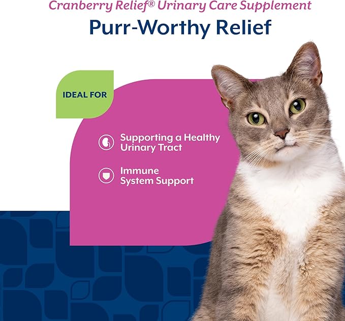 NaturVet Cranberry Relief Plus Echinacea for Cats, 60 ct Soft Chews, Made in The USA with Globally Source Ingredients