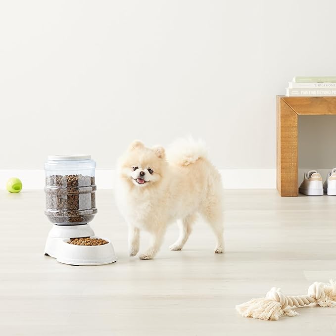 Amazon Basics Gravity Pet Food Feeder for Dogs and Cats, Easy to Clean, Easy to Fill, Removable Lid, 6-Pound Capacity, Small, Gray
