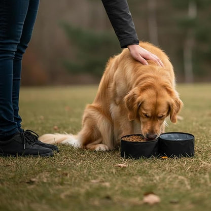 OllyDog Superbowl | Collapsible Dog Travel Bowl | 2 Compartment Food & Water | Foldable| Portable Dog Bowl | Hiking, Camping (Raven)