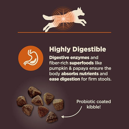 Wellness CORE Digestive Health Adult Dry Dog Food, Wholesome Grain Kibble, Sensitive Stomach, Natural, High Protein, Chicken Recipe, 24 lb Bag