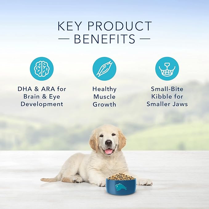 Blue Buffalo Life Protection Formula Natural Puppy Dry Dog Food, Chicken and Brown Rice 6-lb