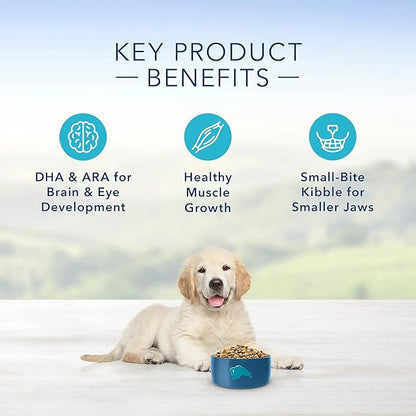 Blue Buffalo Life Protection Formula Natural Puppy Dry Dog Food, Chicken and Brown Rice 6-lb