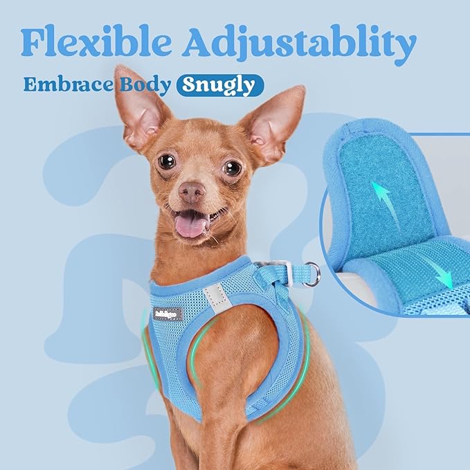 rabbitgoo Small Dog Harness, Step-in Soft Mesh Puppy Vest with Safety Buckle, Breathable Reflective Pet Harness for Small Medium Dogs, Blue L