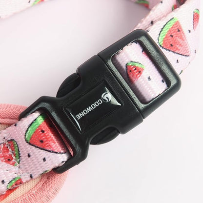 Dog Harness and Leash Set, Adjustable Dog Harness, Dog Leash, No Pull No Choke Puppy Harnesses for Walking Training for Small Medium Pet