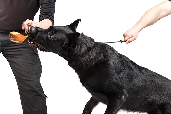 Dingo Gear Choke Collar for Dog Training Handmade of Cord with A Limiter, Waterproof Black S04059, (XXL)
