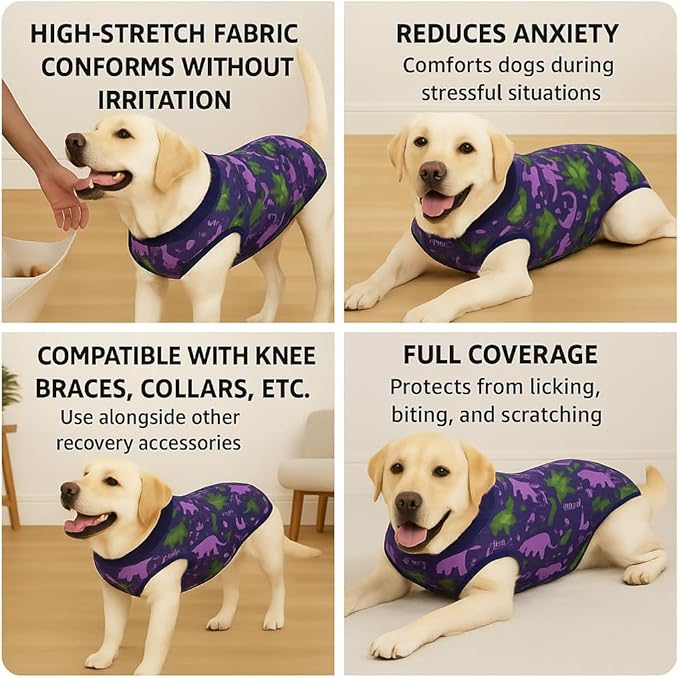 PetWarm Dog Recovery Suit, Onesies for Dogs, Dog Cone Alternative After Surgery Substitute E-Collar and Cone Prevent Licking Dog Onesies Pet Surgery Recovery Suit, Dinosaur Pattern, Blue Purple, 2XL